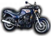 1998 Triumph Trident 900 photo